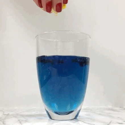 Dried Butterfly Pea Flower Tea, Loose Leaf - Image 4